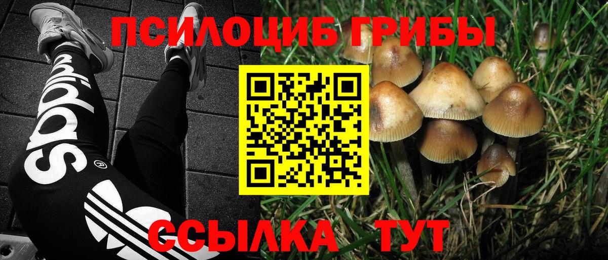 Орск  Псилоцибиновые грибы мухоморы  Вход с VPN 