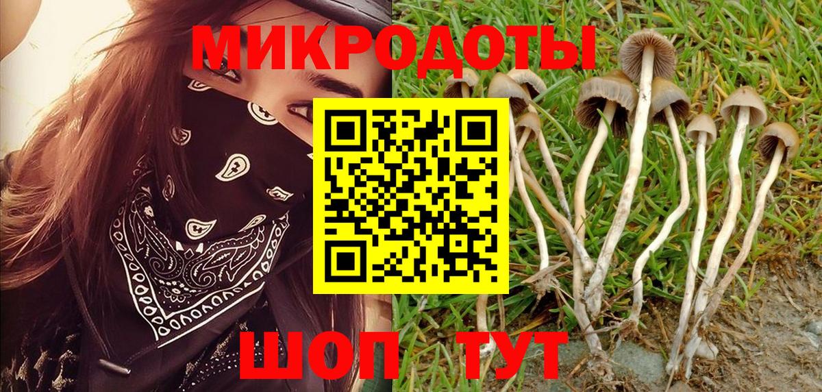 Псилоцибиновые грибы Cubensis Орск